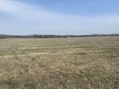 Продажа земельного участка 5 000 м²