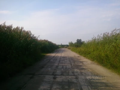 Аренда склада 1 800 м², фото 5